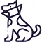 Pet Spay and Neuter Services Yerevan